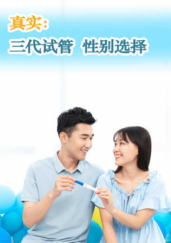 新加坡代孕合同