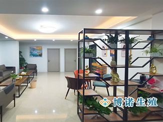 新加坡代孕医院 - 代孕流程