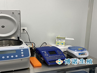 新加坡代孕医院 - 代孕流程