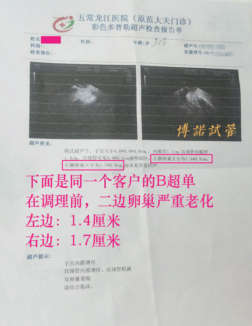 新加坡代孕医院.jpg