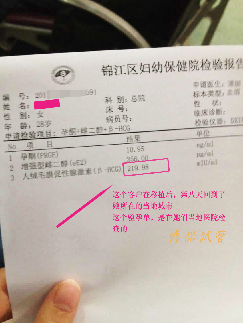 新加坡代孕试管婴儿.jpg