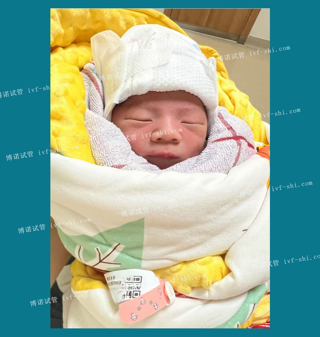 新加坡代孕中介.jpg