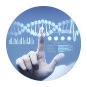 新加坡代孕费用