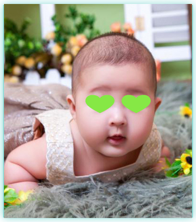 新加坡代孕价格