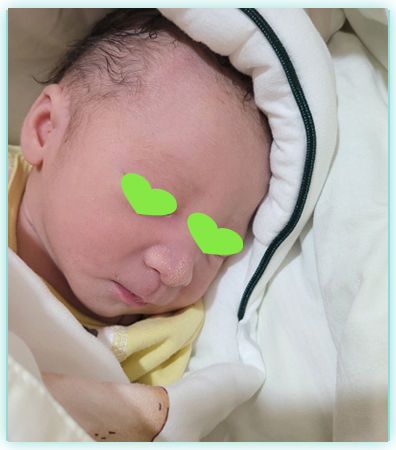 新加坡代孕价格