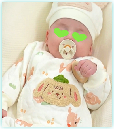 新加坡代孕价格