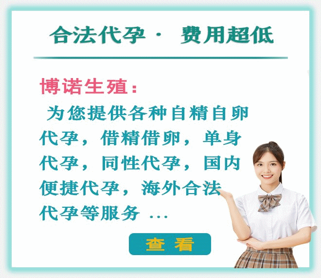 新加坡代孕公司