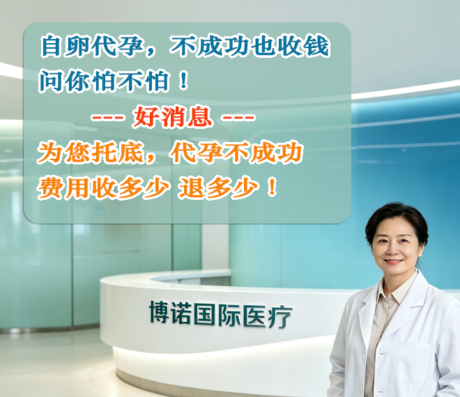 新加坡代孕公司